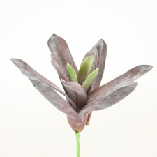 8" HOUSELEEK PICK BURGUNDY