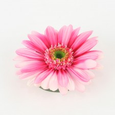 FLOATING GERBERA HEAD A6