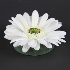 FLOATING GERBERA HEAD WHITE