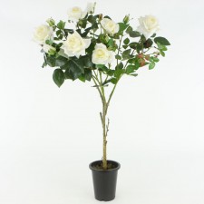 36" ROSE POTTED CREAM