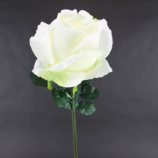 34"GIANT ROSE STEM WHITE