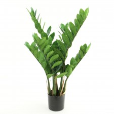 28" ZAMIFOLIA PLANT POTTED