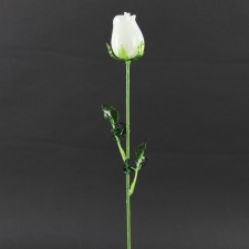 18"TRANSPRNT ROSE SPRY A5 B9