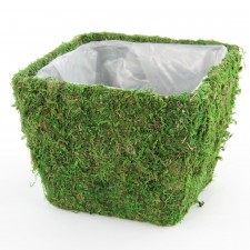 9"X7.5" SQUARE POT S3