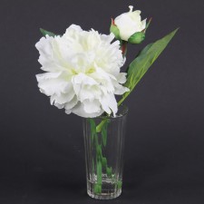 9.5" PEONY W/GLASS VASE