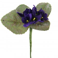 VIOLET ARGMT PICK A25