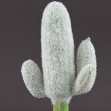 7 3/4" SAGUARO CACTUS A25