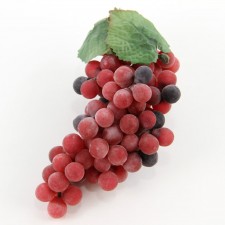 MINI GRAPES X108 A4
