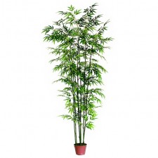 7' BAMBOO TREE X7