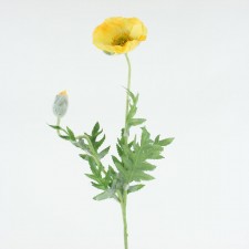 28"GARDEN POPPY YELLOW