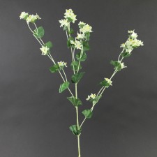 BULPEURUM PLANT SPRAY A4 B4