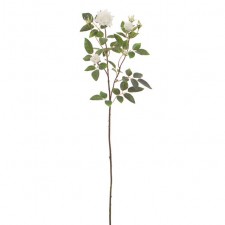 DIAMOND ROSE CREAM