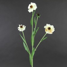 RUDBECKIA FLK STEM A4 B4