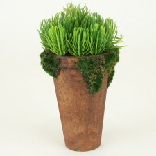 9" THISTLE POTTED