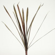 29" ORCHID LEAF SPRAY X11