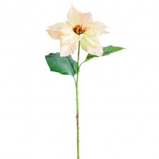 LG.POINTSETTIA SPRAY CREAM