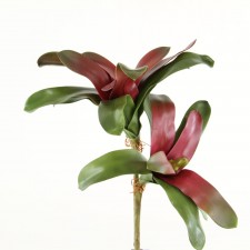 16" BROMELIAD SPRAY X2 WINE/GR