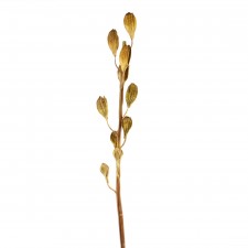 36"LILY SEED POD SPRY A4 B11