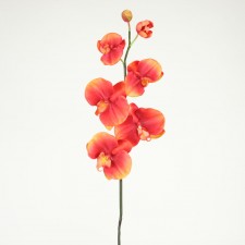 41"GIANT PHALAENOPSIS RED