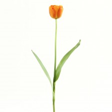 18.5" TULIP STEM ORANGE