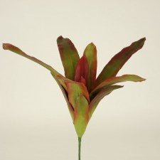 19.5" BROMELIAD