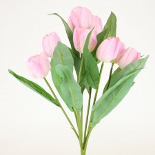 20" TULIP BUSH X9