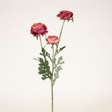 30" RANUNCULUS SPRAY X3 RED