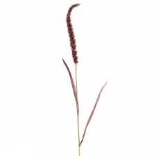 50"REED SPRAY BURGUNDY A4