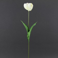 25"TULIP SPRAY CREAM B3