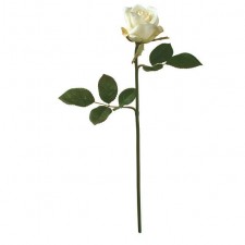 16" ROSE BUD CREAM