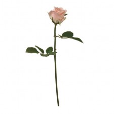 16" ROSE BUD PINK