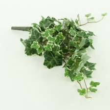 21"ENG.IVY HNG BUSH W/103L