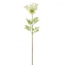 30" DILL BLOSSOM SPRAY CREAM