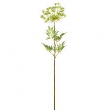 30" DILL BLOSSOM SPRAY GREEN