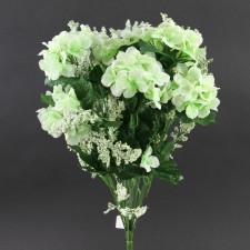 HYDRANGEA BUSH X18 WHITE A4