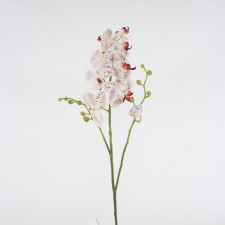 39" PHALAENOPSIS STEM X3