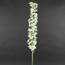 38"MINI DENDROBIUM STEM A6