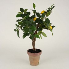 22" MINI LEMON