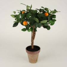 22" MINI ORANGE