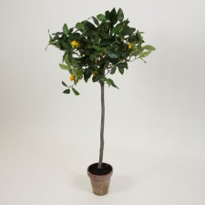 36" MINI LEMON TREE