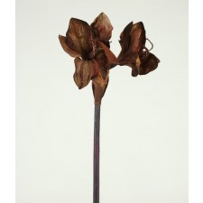 26.5" GLTRD AMARYLLIS SPRAY
