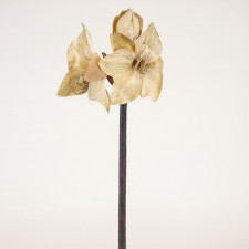 26.5" GLTRD AMARYLLIS SPRAY