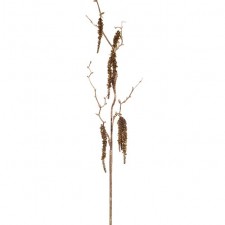 40"GLTRD/SEQ BIRCH BRANCH
