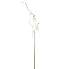 40"GLTRD/SEQ BIRCH BRANCH WHT