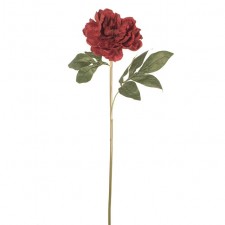 29" SINGLE PEONY RED