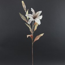 36.5" LILY SPRAY X1