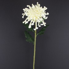 30" FUJI MUM SPRAY CREAM