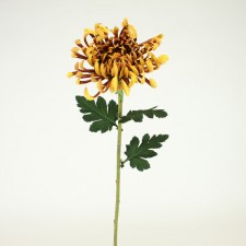30"FUJI MUM SPRAY G/RUST