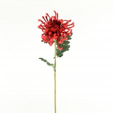 30" FUJI MUM SPRAY RED