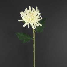 28" FUJI MUM SPRAY CREAM
